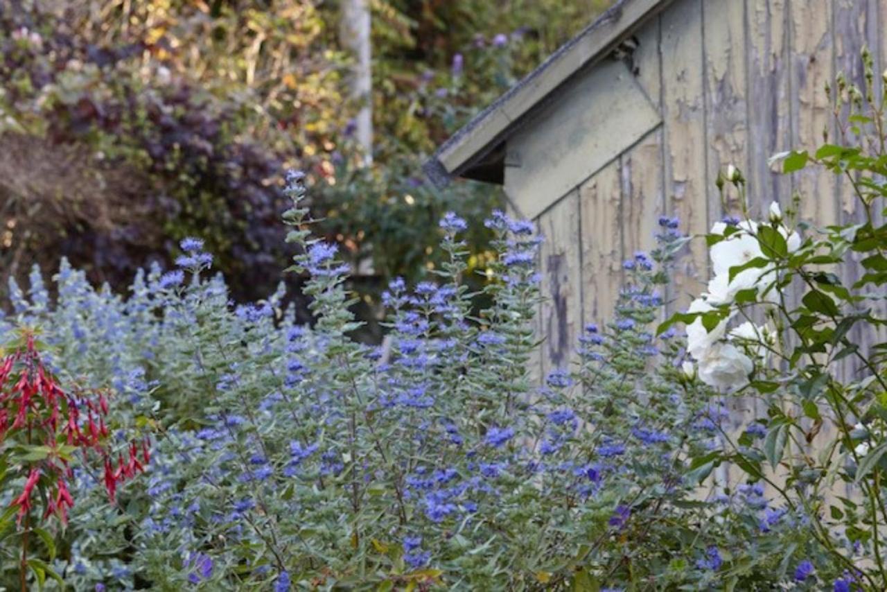 Lavender Cottage بير المظهر الخارجي الصورة